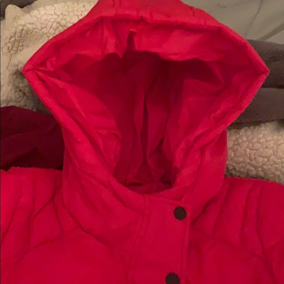 Steve Madden Red Cire Puffer Coat - Women & Plus - Picture 3 of 7